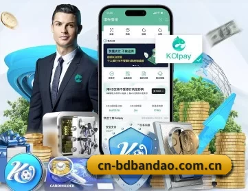 cn-bdbandao.com.cn APP 深度功能